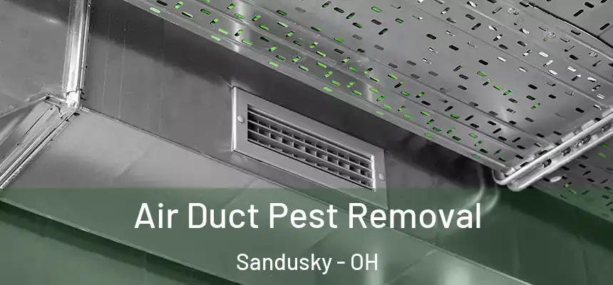Air Duct Pest Removal Sandusky - OH