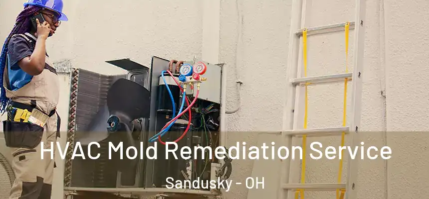  HVAC Mold Remediation Service Sandusky - OH