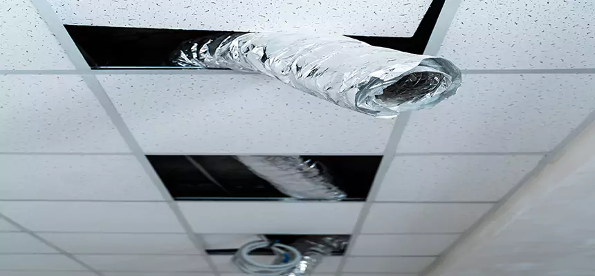 Affordable HVAC Sanitizing After Pest Removal in Sandusky