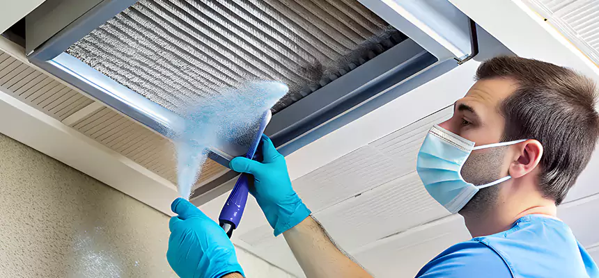 Proactive Dryer Vent & Auxiliary Duct Pollen Cleanup in Sandusky, OH