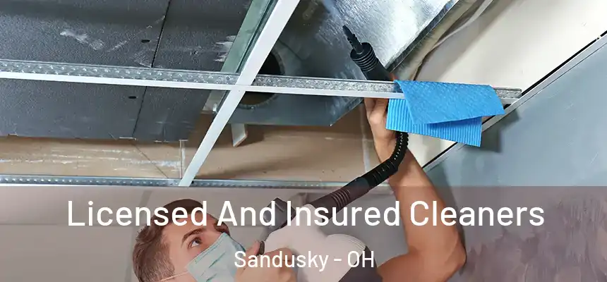  Licensed And Insured Cleaners Sandusky - OH