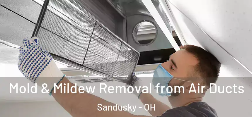  Mold & Mildew Removal from Air Ducts Sandusky - OH