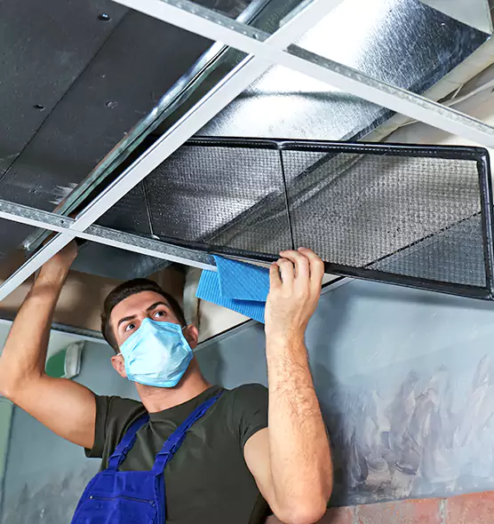 Professional Air Duct Pollen Cleaning in Sandusky, OH