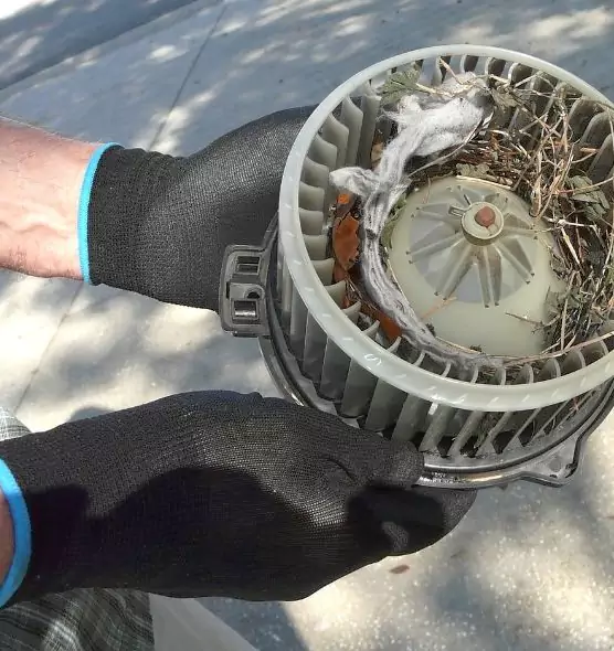 About Air Duct Rat Removal in Sandusky, OH