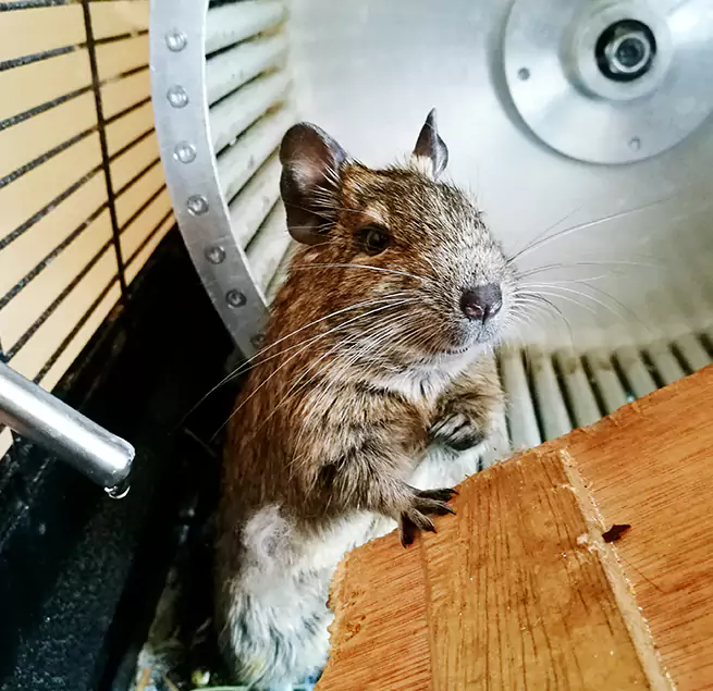 Why Homeowners & Businesses Trust Us Sandusky, OH?