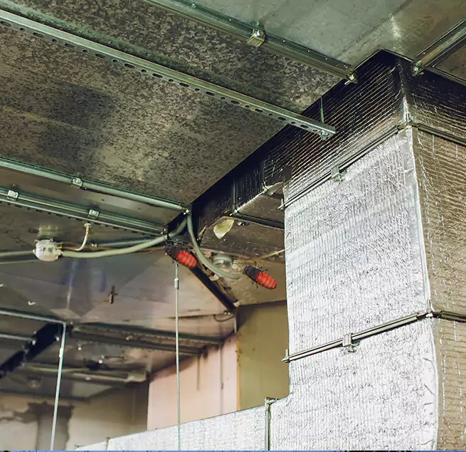 Why Homeowners & Businesses Trust Us Sandusky, OH?